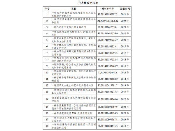 专利论文                                   